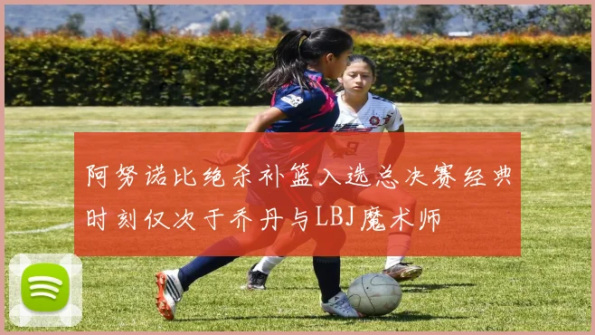 阿努诺比绝杀补篮入选总决赛经典时刻仅次于乔丹与LBJ魔术师